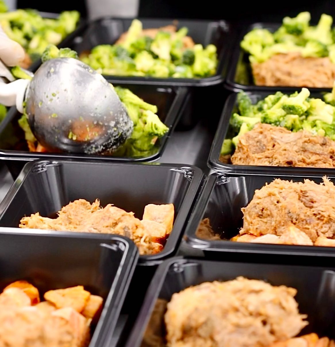 Discover the Freshness: How Long Do Herculean Frozen Meals Last?